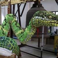 Penang Snake 🐍 Temple Adventure! 