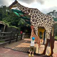 【臺北市立動物園】：樂學給合♡親子探索自然的夢幻之旅