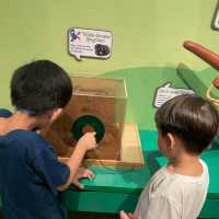 Singapore Children's Museum