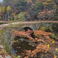 Unesco World Heritage Temple in Suncheon