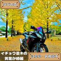 学びの森