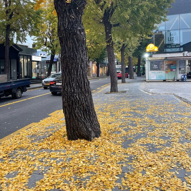 Pretty Autumn Lane a must visit in Seoul