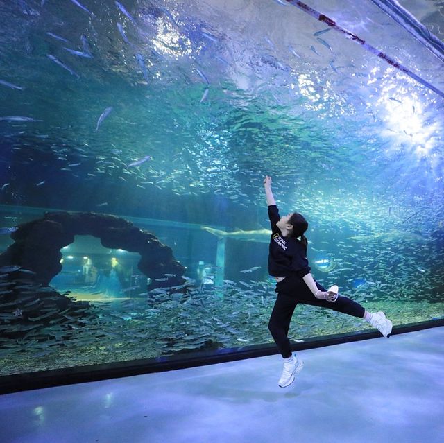 제주 재밌는 공연과 동물친구들, 아쿠아플라넷 🐳