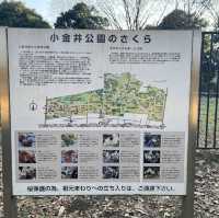 江戸東京たてもの園