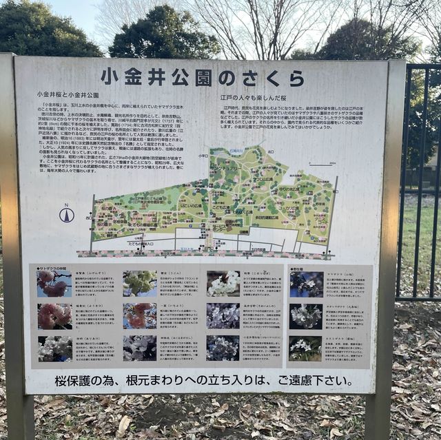 江戸東京たてもの園