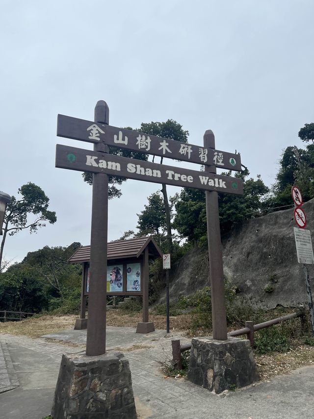 名不虛傳既馬騮山
