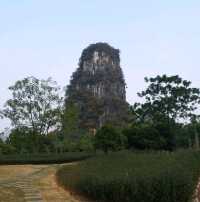 陽朔山景一覽