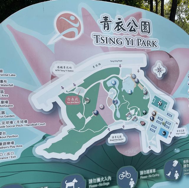 青衣休憩公園🫶🏻草地池塘😍散步🚶🏻‍♀️好去處
