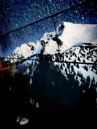 과학 체험과 전시를 한번에 해결!