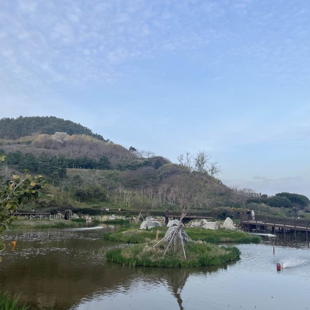 부산에서 수선화를 마음껏 볼 수 있는 오륙도 해맞이공원
