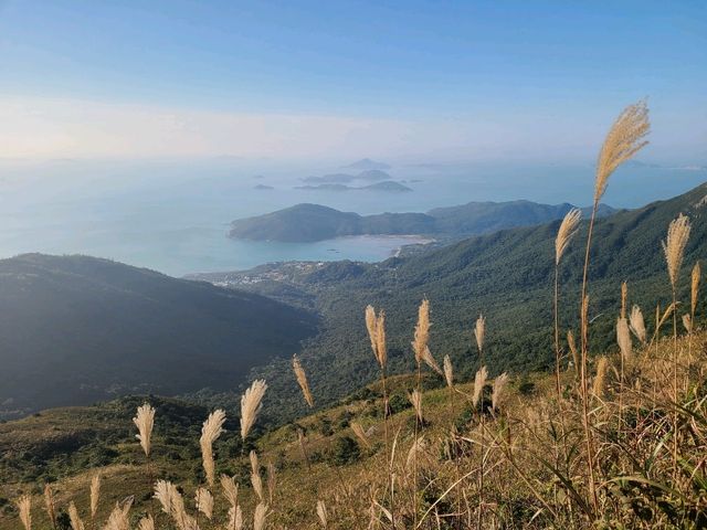 【香港之顛~鳳凰山🌅】