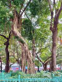 【香港・油麻地 (ヤウマテイ)】「天后廟」映え度抜群！ディープな香港観光。