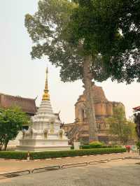 วัดเจดีย์หลวงวรวิหาร จังหวัดเชียงใหม่