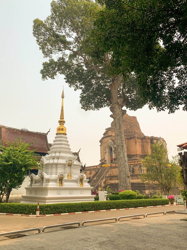 วัดเจดีย์หลวงวรวิหาร จังหวัดเชียงใหม่