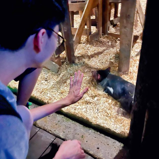 到訪全球首個夜間動物園😳