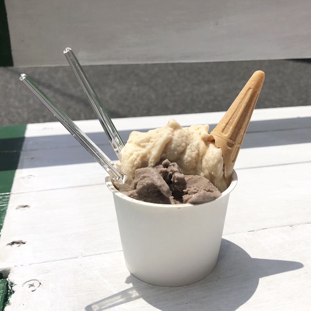 奄美大島の抑えておきたいSPOT🏖️