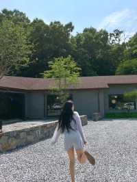 숲멍 가능한 카페 ⛰⛰🌿🌱🌴