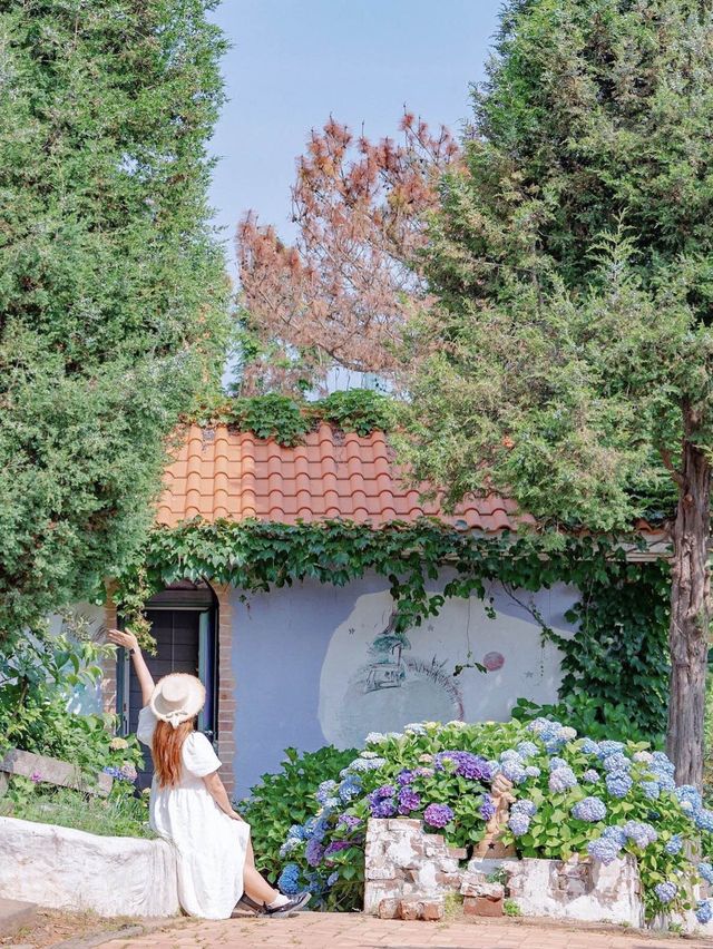 수국길이 너무 예쁜 팜카밀레의 요기저기포토존❣️