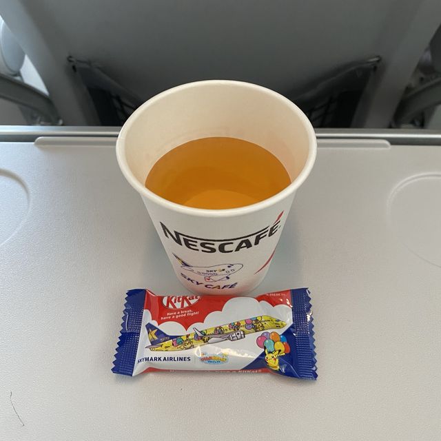 スカイマーク搭乗記【那覇→神戸空港】