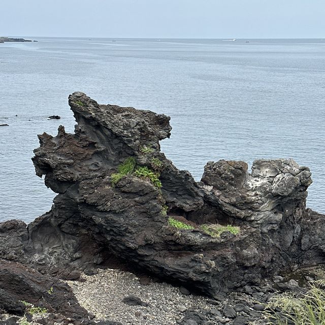 바다가 만든 용의 머리 🐲 제주 용두암