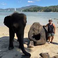 Elephant Swims @Lucky Beach, Tri Trang