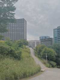 선선한 날, 산책하기 좋은 곳 [남산공원 백범광장]