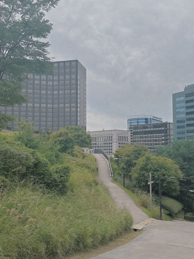 선선한 날, 산책하기 좋은 곳 [남산공원 백범광장]