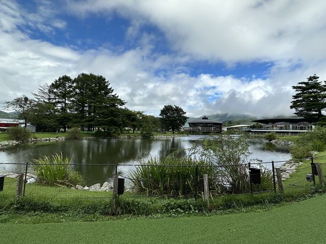 推介輕井澤站傍王子outlet 及outlet 內築地市場食店