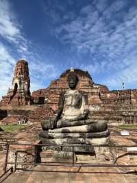 เศียรพระในต้นไม้ วัดดังอยุธยา