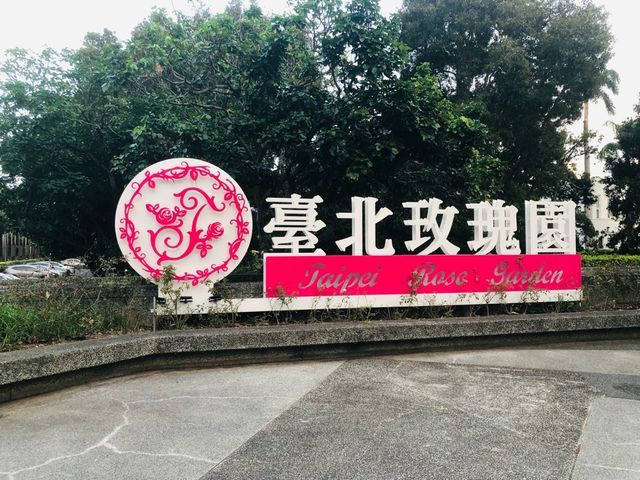 台北｜🌹💐 Taipei Rose Garden 臺北玫瑰園🪴🎋散步賞花花草草