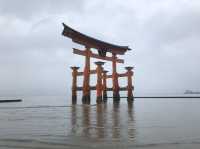日本宮島｜必到打卡位海上大鳥居