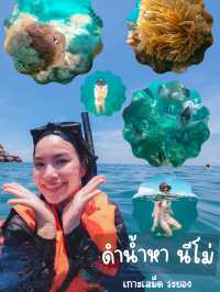 ตามล่าหานีโม่ ทริปดำน้ำเกาะเสม็ด