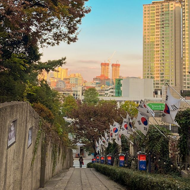 이국적인 단풍 뷰를 구경할 수 있는 대구 여행지 🍁