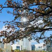 เดินเล่นสวนสาธารณะทะเลสาบซอกชนในต้นฤดูใบไม้ผลิ 🍁🍂