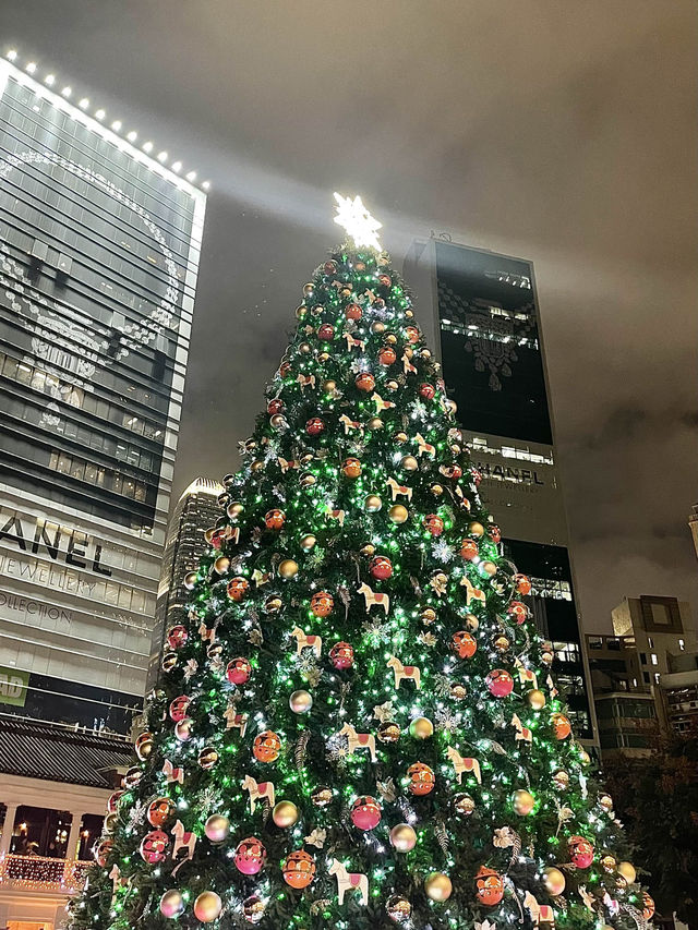 香港聖誕最美隱藏打卡機位-大館