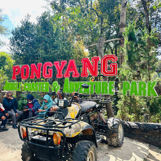 PONGYANG Jungle & Adventure