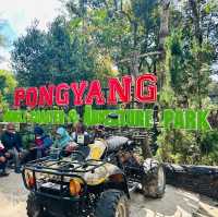 PONGYANG Jungle & Adventure