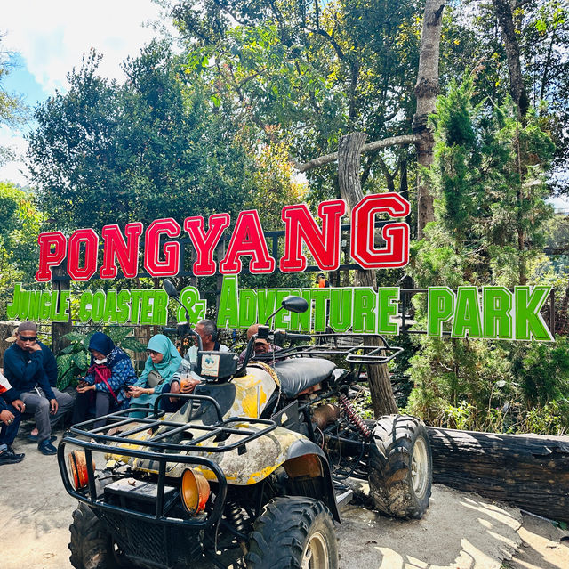 PONGYANG Jungle & Adventure