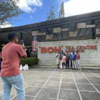 BOH Tea Centre Sungai Palas, Cameron Highland