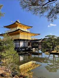 เที่ยววัดทองแห่งเกียวโต Kinkakuji Temple