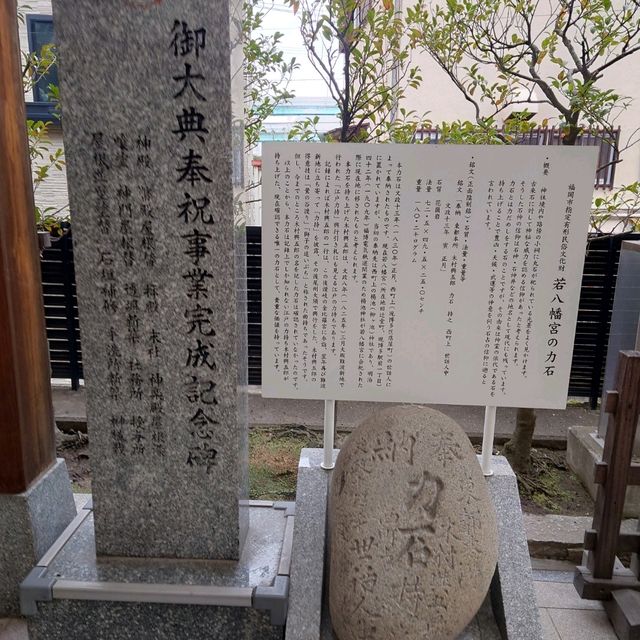 福岡観光2023 「若八幡宮」