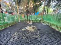 Wonder wood คาเฟ่เด็กแบบจัดเต็ม