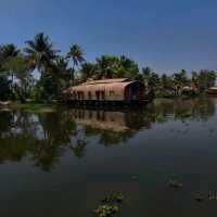 kerala .alappy house boat.