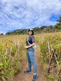 Hiking the Kew Mae Pan Nature Trail