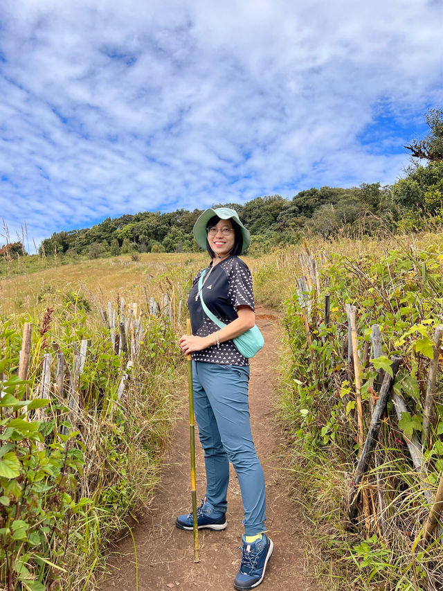 Hiking the Kew Mae Pan Nature Trail