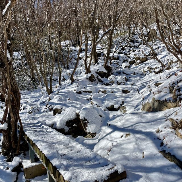 영남알프스 8봉 신불산 영축산 최단코스, 눈 산행