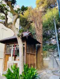 【東京都/富士浅間神社】かつての本郷の富士山を感じられる神社