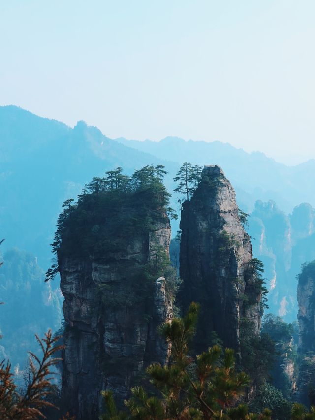 The Avatar Mountains - Zhangjiajie🌲🏔️