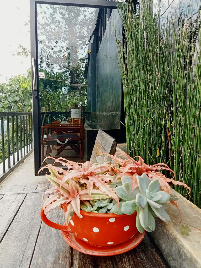 หลงดอย ⛰️☕️🌳🥓