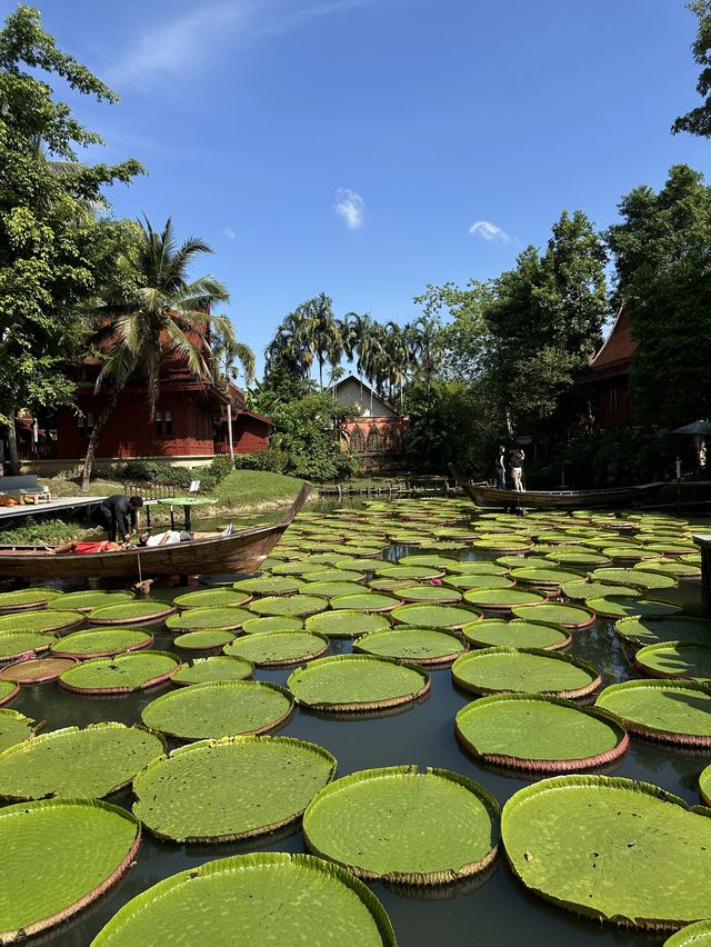Phuket Viral Cafe you shouldn't miss 🪷